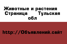  Животные и растения - Страница 10 . Тульская обл.